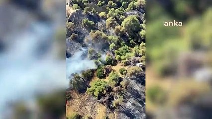 Manisa Salihli’deki orman yangını 24 saattir devam ediyor