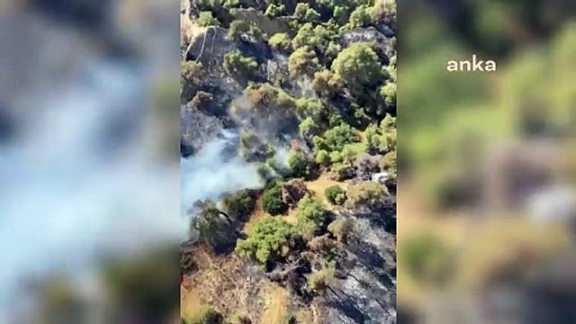 Manisa Salihli’deki orman yangını 24 saattir devam ediyor