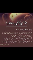 مومن کا عجیب معاملہ ❤️#trending#viral#shorts#islamic#follow#foryou#dailymotion#share