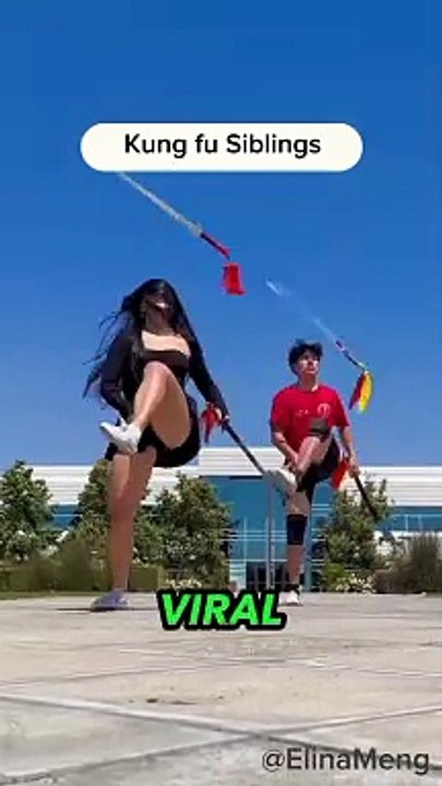 Amazing kungfu siblings.