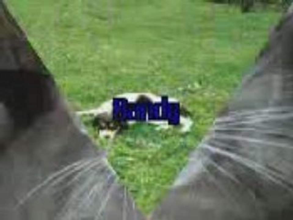 ma famille mes amies et moi