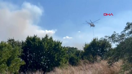 Avcılar’da ağaçlık alanda çıkan yangın nedeniyle tren seferleri durduruldu