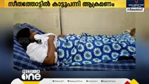 പത്തനംതിട്ട സീതത്തോട്ടിൽ കാട്ടുപന്നിയിടിച്ച്  സ്‌കൂട്ടർ യാത്രക്കാരിക്ക് ഗുരുതര പരുക്ക്