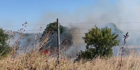 Avcılar’da ağaçlık alanda çıkan yangın nedeniyle tren seferleri durduruldu