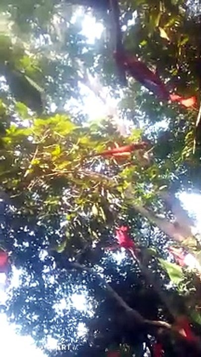 VID_20240630_073913