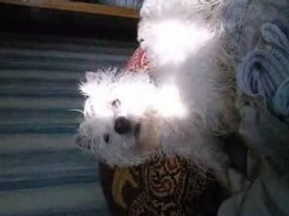 ma nenette aprés le baiin