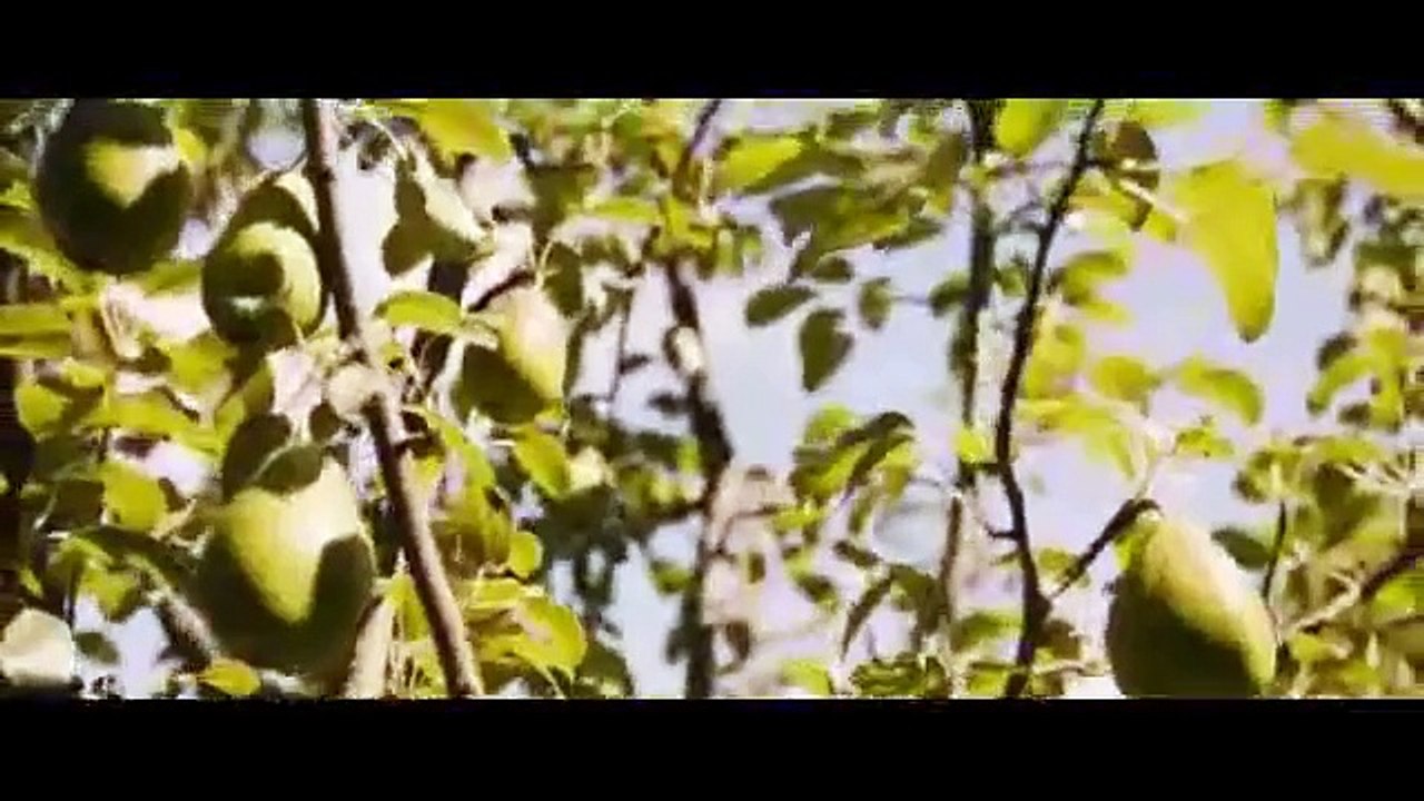 It Ends with Us .2024.(FullMovie) OnlineFree Video Dailymotion