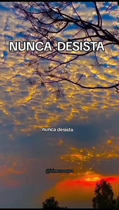 nunca desista