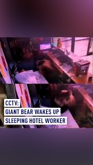 CCTV: Giant bear breaks into man’s bedroom