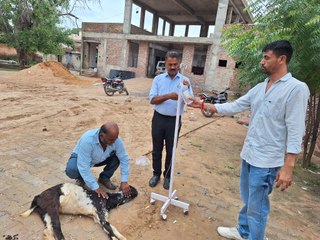 下载视频: पशुपालक बोले: पशुओं को बीमारी से मरता या तड़पता नहीं देख सकते हैं, इसलिए बाहर से खरीद रहे दवाएं