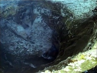 BBC Life in the Freezer 05 The Big Freeze