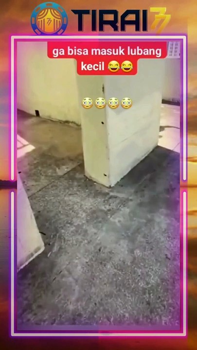 TIRAI77