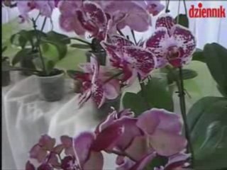 IV Targi Ogrodnicze Eden 2008