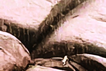 शामदा की पहाड़ी पर दहाड़ा बघेरा... देखें वीडियो ....