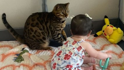 Cat almost lets his annoyance get the best of him during cute interaction with baby