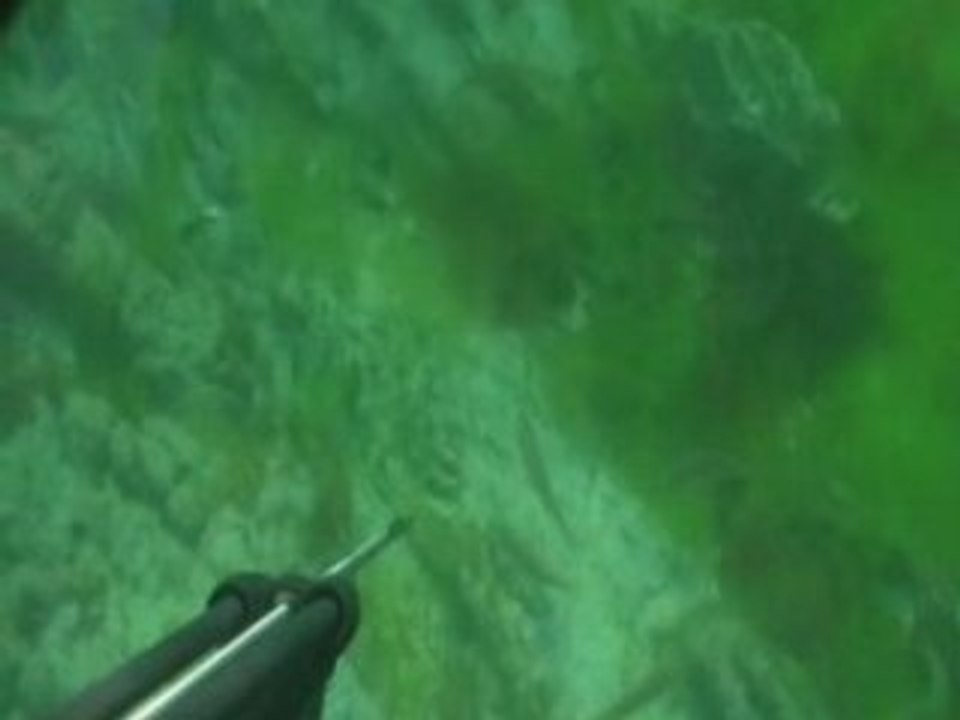 Rougets et joli loupé !!!