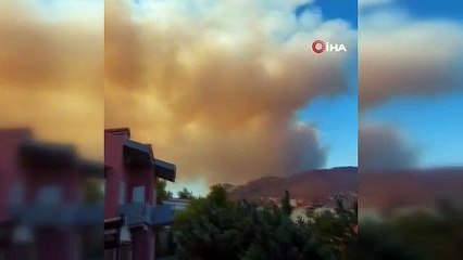 Yunanistan'da büyük yangın: Çok sayıda yerleşim yeri boşaltıldı