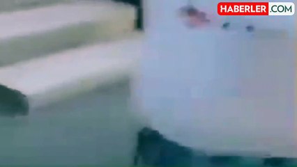 Manisa'da 3 Kedi Yavrusunu Öldüren Kişi Gözaltına Alındı