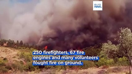 Wildfire near Athens forces evacuations, shrouding parts of the capital in its shadow