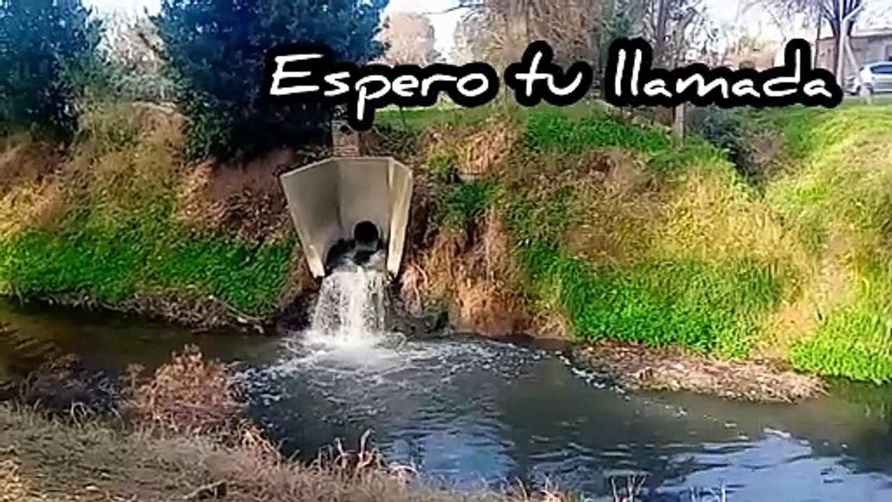Novia Cumbianchera Espero tu llamada canta Giselle Romina Castillo Vargas
