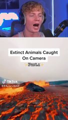 Extinct Animals Caught on Camera... 
