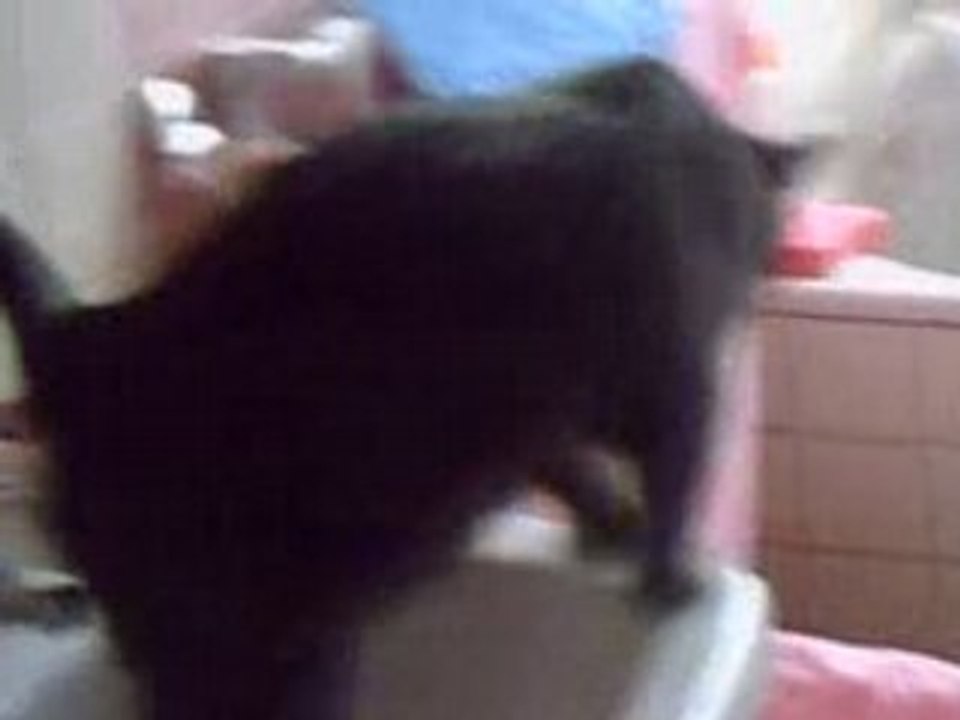 CLIP0003
