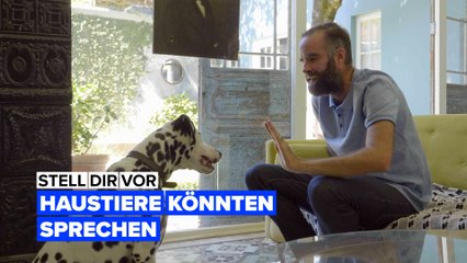 Stell dir vor, Haustiere könnten sprechen