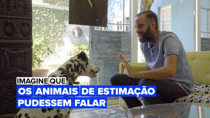 Imagine que os animais de estimação pudessem falar