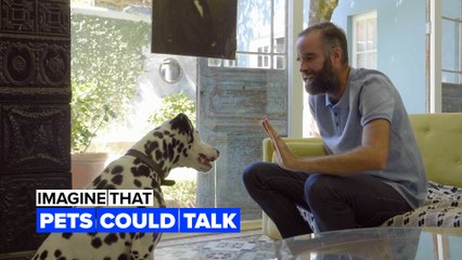 Imagine pets could talk  to humans