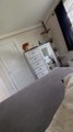 Cat Trying to Jump on Bed Fails Hilariously