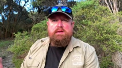 Possum species relocated to central Australia to establish population