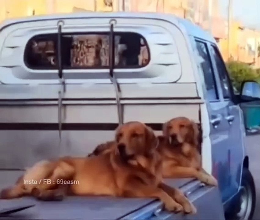 Nothing just boys being boys..