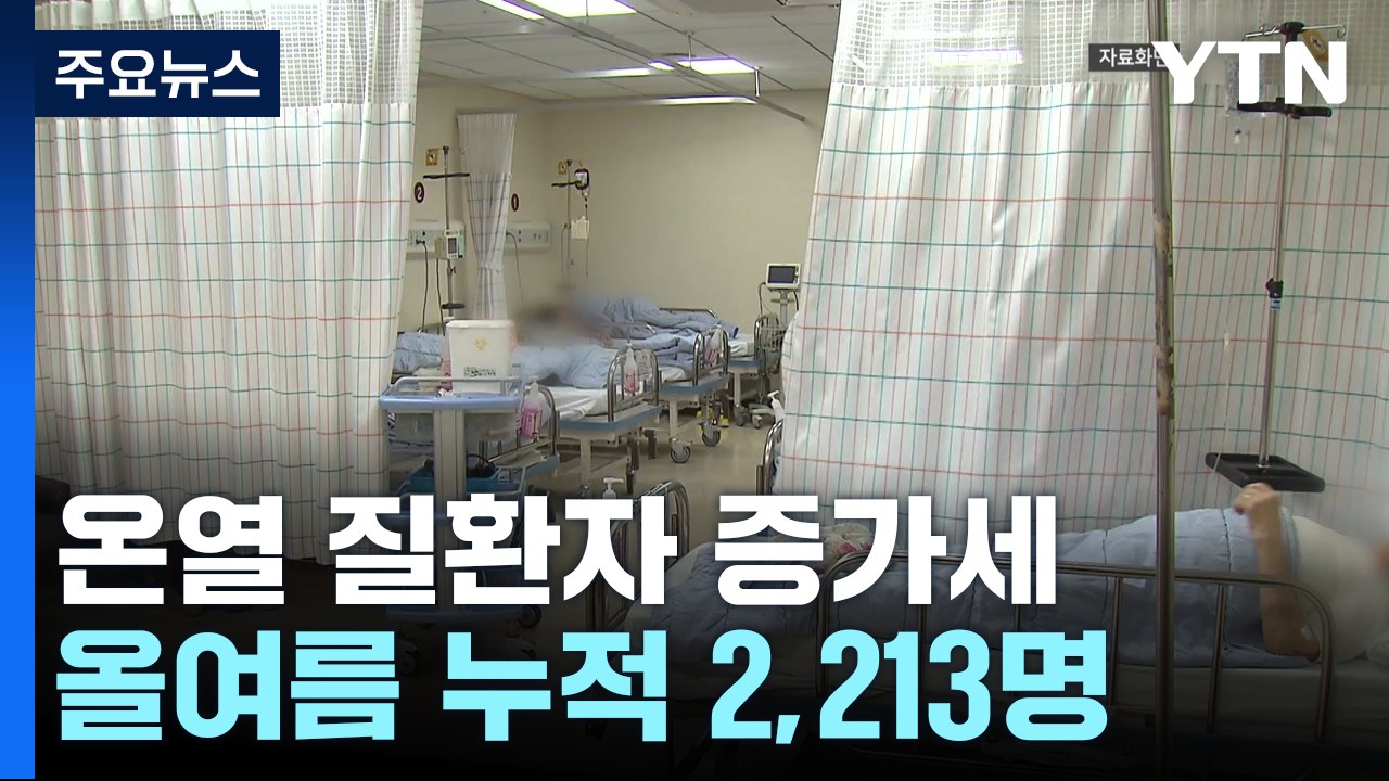 전국 온열 질환자 2,213명...가축 56만 마리 폐사 / YTN