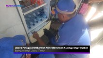 Seperti Ini Upaya Petugas Dinas Pemadam Kebakaran dan Penyelamatan Saat Menyelamatkan Kucing yang Terjebak di Dalam Mesin Lemari Pendingin