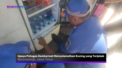 Seperti Ini Upaya Petugas Dinas Pemadam Kebakaran dan Penyelamatan Saat Menyelamatkan Kucing yang Terjebak di Dalam Mesin Lemari Pendingin