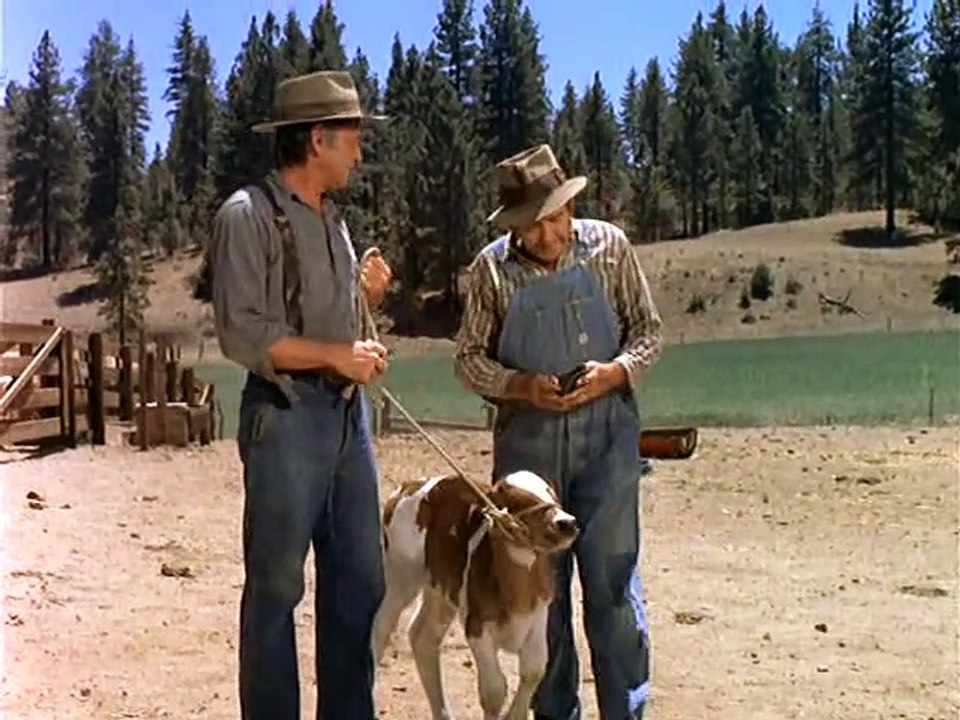 S01E03 - The Calf