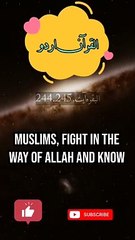 @Quran Urdu #Transletion !