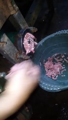 (( GiBAS ) gilingan  baso pasar gabus..