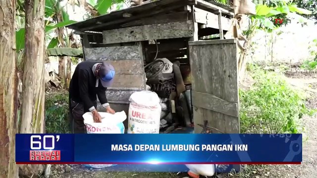 Siapkah Pertanian Penajam Paser Utara Jadi Lumbung Pangan IKN?