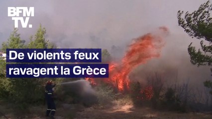 Descargar video: Les images des violents incendies qui frappent la Grèce