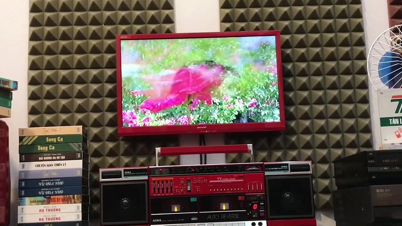 Review of Sony SLV-RS7 Japanese VHS VCR Player in Vietnam