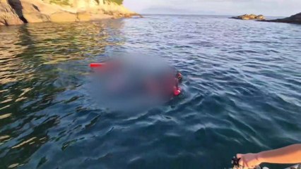 통영 앞바다서 실종된 40대 숨진 채 발견 / YTN