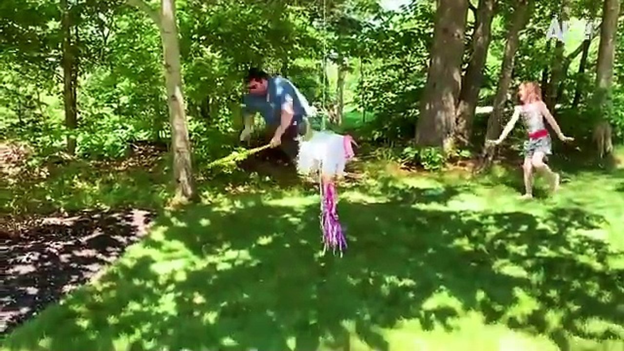 Funny Videos-1