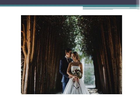 Yevette Heiser- Capturing Love: Innovative Wedding Photography Ideas