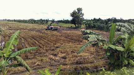 Take soil - Prendre de la terre - خذ التربة