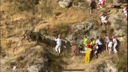 Pánico en el Pilón de Falces: las vacas escapan y embisten a los espectadores por el monte