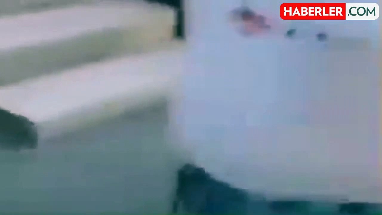 Muzaffer Şen kimdir? Yavru kedileri sopayla öldüren Muzaffer Şen tutuklandı mı? Manisa'da yavru kedi katliamı!