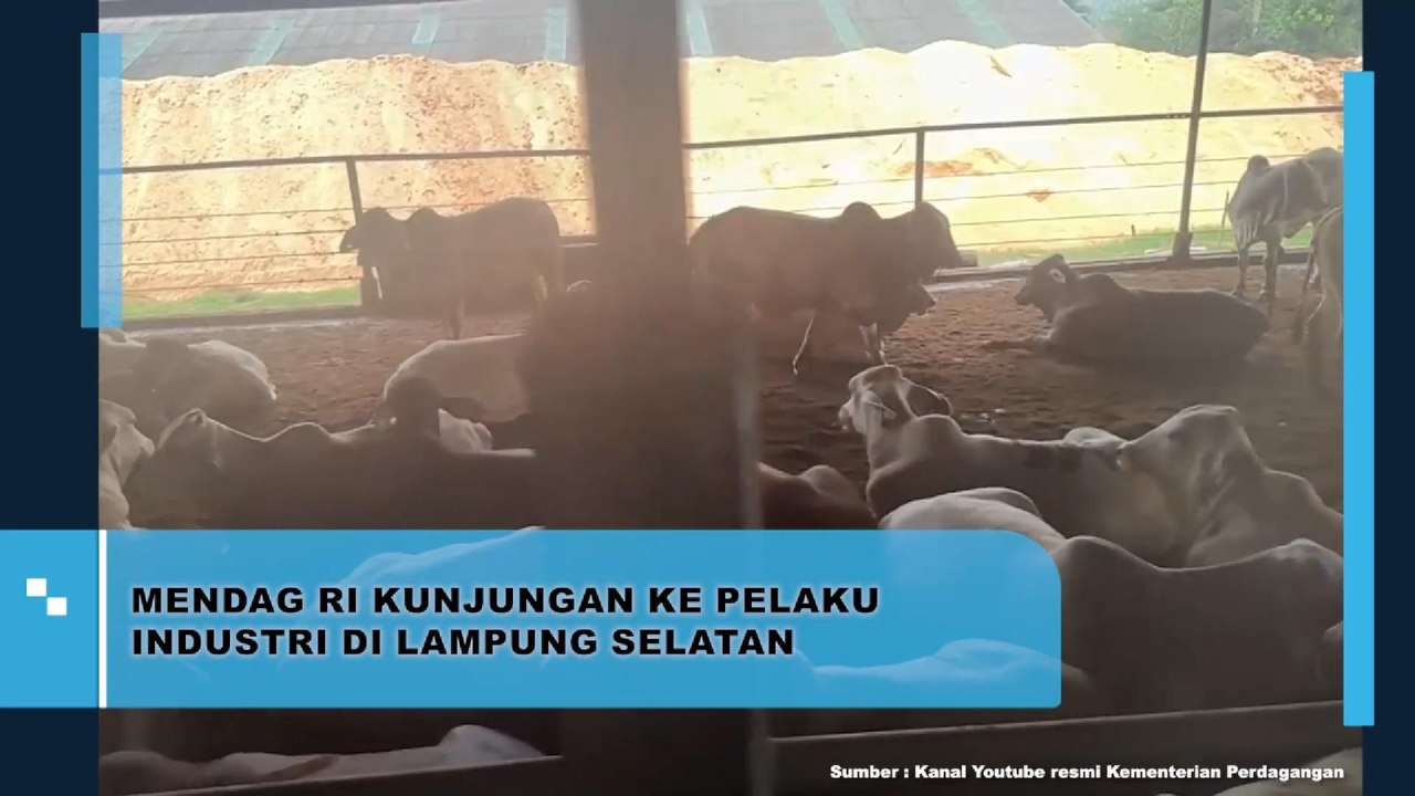 Mendag RI Kunjungan Ke Pelaku Industri Di Lampung Selatan