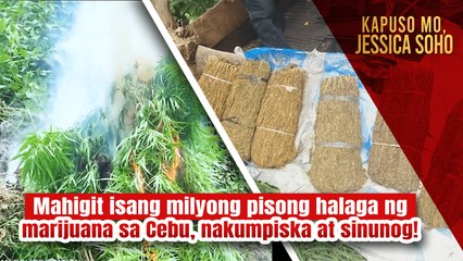 Mahigit isang milyong pisong halaga ng marijuana, nakumpiska at sinunog! | Kapuso Mo, Jessica Soho
