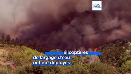 Grèce : des incendies se rapprochent d'Athènes